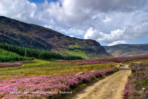 holiday cottages scotland holiday cottages scotland