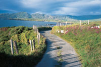 holiday cottages County Cork, southern Ireland