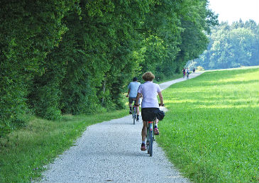 Cyclists in countryside