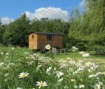 Borleymere Shepherds Hut, Suffolk, England Borleymere Shepherds Hut, Suffolk, England