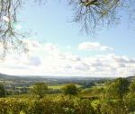 Sunnybank, Hemyock, Blackdown Hills, Devon., Devon, England Sunnybank, Hemyock, Blackdown Hills, Devon., Devon, England