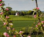 Field Cottage, Herefordshire, England Field Cottage, Herefordshire, England