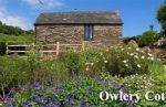The Owlery, Devon, England The Owlery, Devon, England