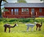 Lake View Lodge, Somerset, England Lake View Lodge, Somerset, England