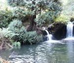 Woodland Waterfalls, Powys, Wales Woodland Waterfalls, Powys, Wales