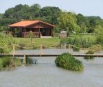 Rural Roosts, Lincolnshire, England Rural Roosts, Lincolnshire, England