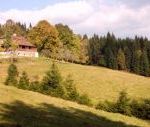 Tara, Beskydy Mountain Nature Reserve, Czech Republic Tara, Beskydy Mountain Nature Reserve, Czech Republic