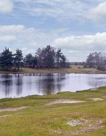 Romantic self catering cottage in the New Forest
