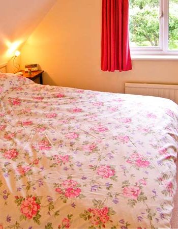Enjoy walking, cycling or sightseeing in the New Forest