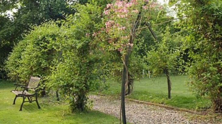 Orchard View at Old Rectory Cottages - Photo 13