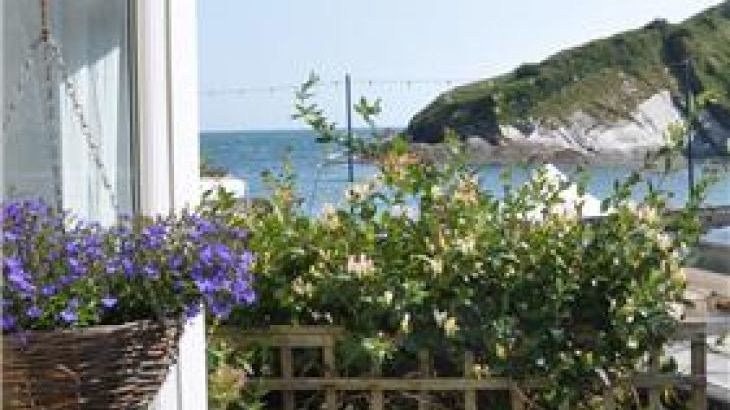 Dog Friendly Holiday Rentals In Ilfracombe Dog Friendly Holiday Rentals In Ilfracombe