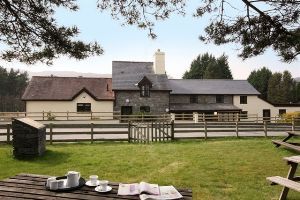 Accommodation with a large bed sleeps 2 in Mid Wales Accommodation with a large bed sleeps 2 in Mid Wales