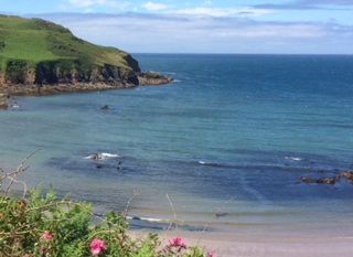 Cottage with a spacious bed for couples in West Country, South West, South Devon Cottage with a spacious bed for couples in West Country, South West, South Devon