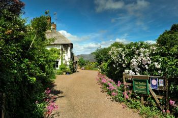 Cottage with a spacious bed for couples in South West, West Country, Quantock Hills Cottage with a spacious bed for couples in South West, West Country, Quantock Hills
