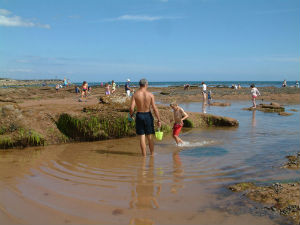 Family rockpooling by the seaside
