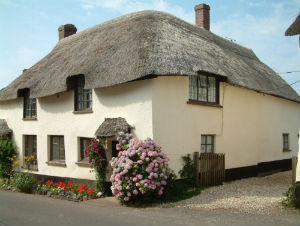 Picture-perfect Devon thatched cottage