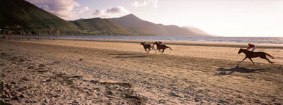 Watch Horse Racing on Holiday in Co. Killarney