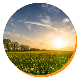 Cottage Breaks for 2021