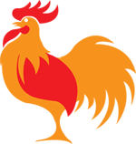 cockerel