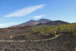 Teide National Park in Tenerife