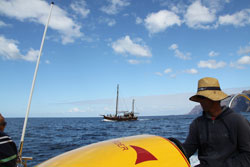 Canary Island holidays with whale watching