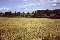 Hitchin countryside Hertfordshire