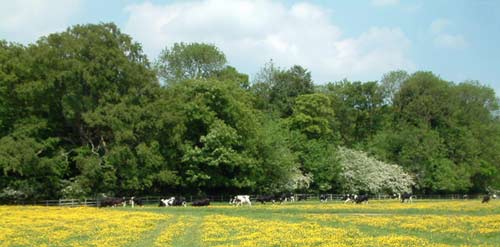 holiday cottages in the Lincolnshire Wolds