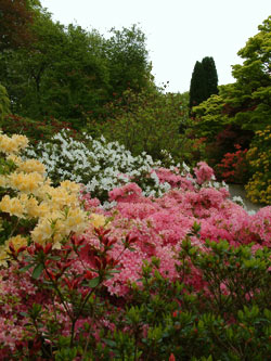 holiday cottages near National Trust properties