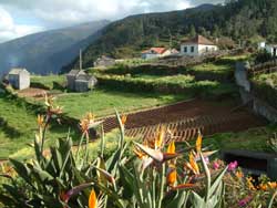 villa holidays in Madeira