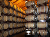 wine cellar in La Rioja, go wine tasting