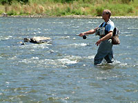 County Lonford for fishing holidays in Ireland