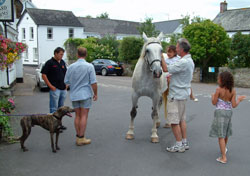 self-catering with horse