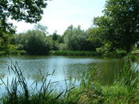 selfcatering surrey