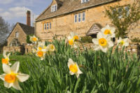 Pretty English Cottage