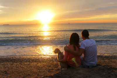 Romantic Couple by the Sea