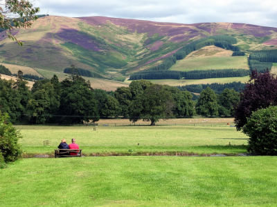 Couple Enjoying Country View