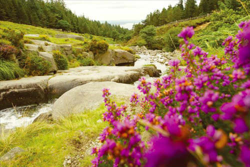 Rural holidays Ireland