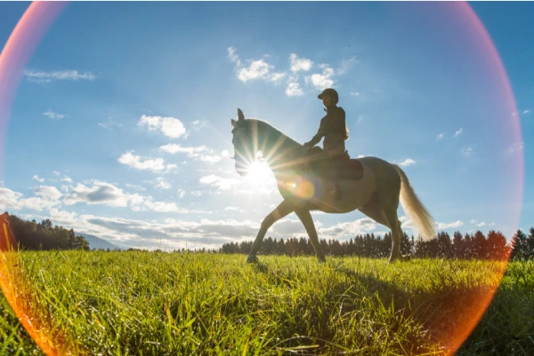 Horse riding