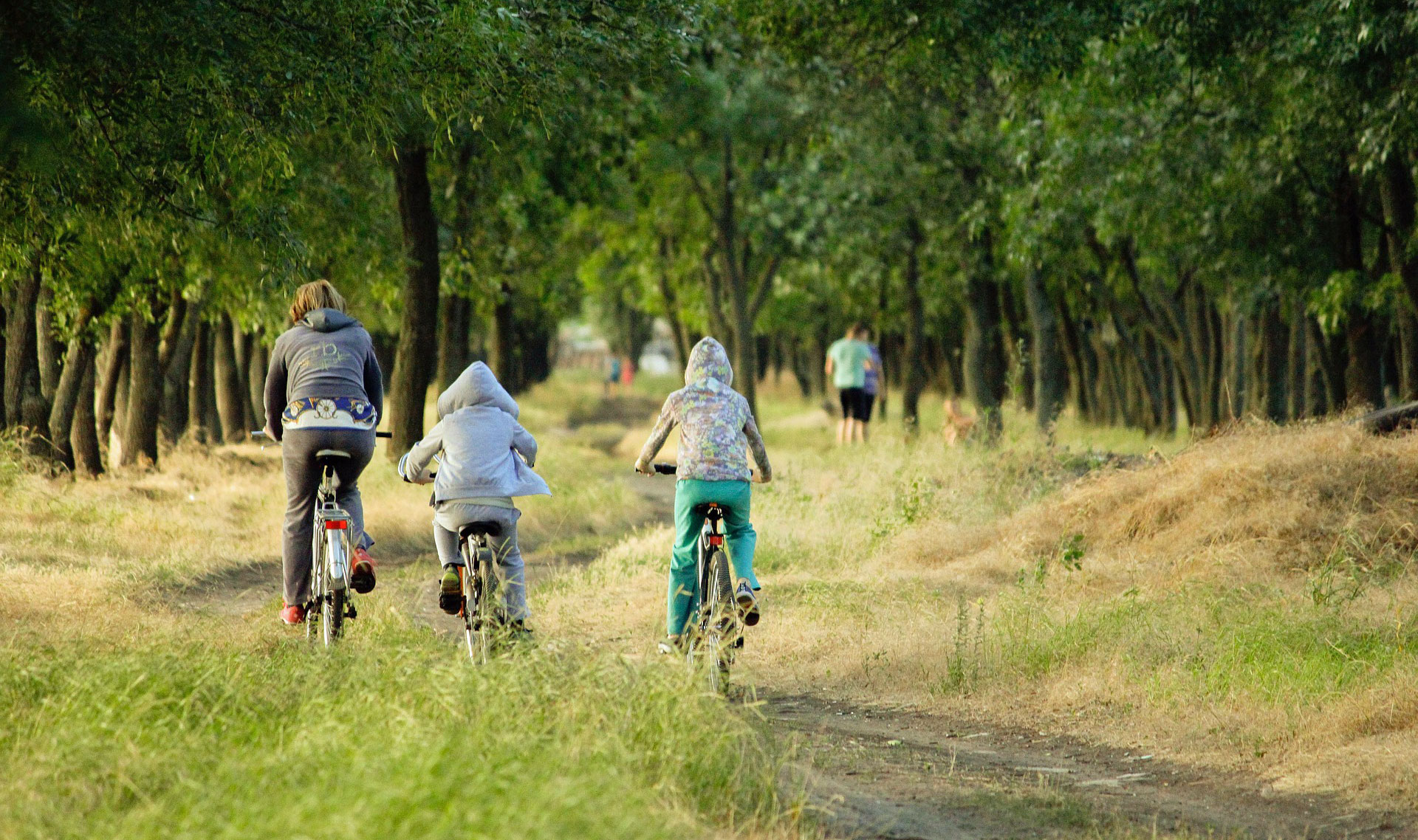 family holiday cycling northumberland