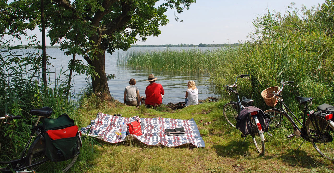 picnic