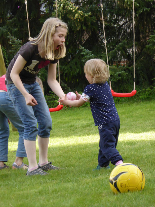 Irish cottages with swings