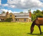 Sleeps 7+1, 5* lovely, clean Cottage with shared games room and lovely garden - Herefordshire