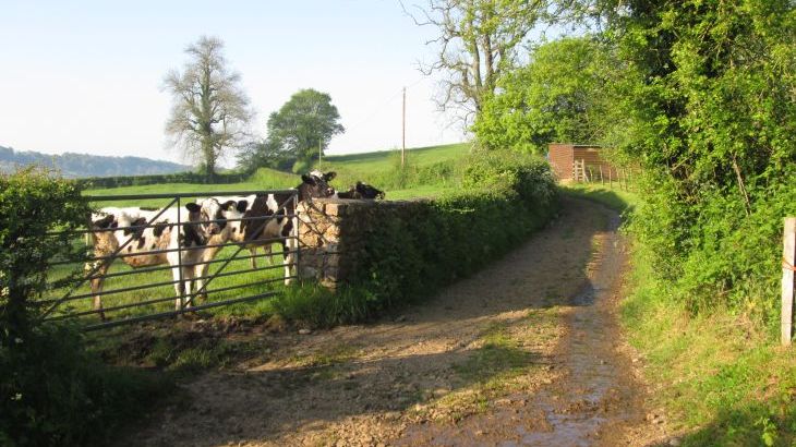 Weathervane Cottage at Twistgates Farm Cottages - Photo 14