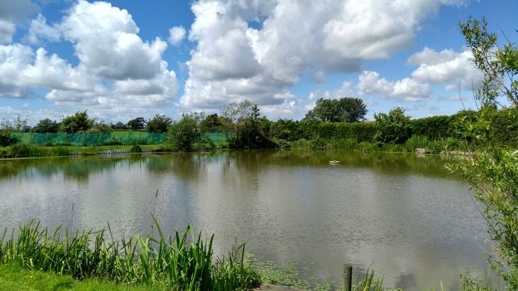 Briarcroft Fishery Lodge - Photo 17