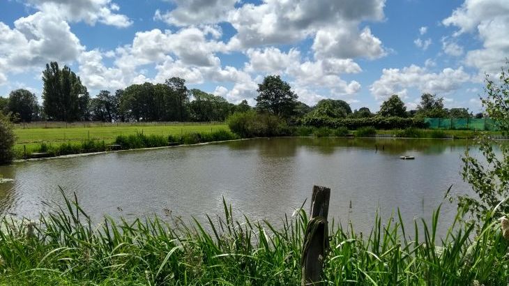 Briarcroft Fishery Lodge - Photo 28