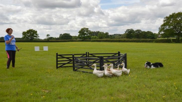 The Cotswold Manor Hall, Exclusive Hot-Tub, Games/Event Barns, 70 acres of Parkland, sleeps  30,  Photo 27