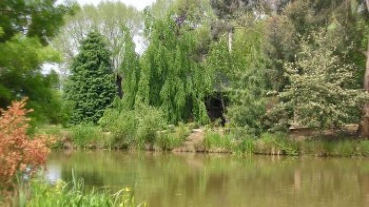 Kingfishers - Photo 10