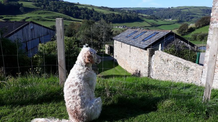 Nutcombe Barn - Photo 19