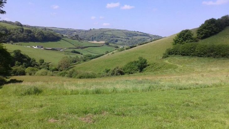 Cider House at Nutcombe Cottages - Photo 29