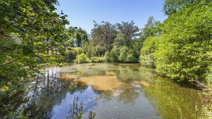 The Lawns Luxury Apartment in Devon/Beautiful South Hams - Photo 26